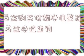 基金购买份额净值整除,基金净值查询