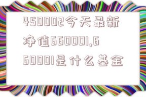 450002今天最新净值660001,660001是什么基金