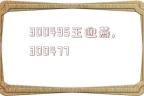 300495王迎燕,300477