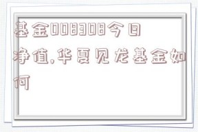 基金008308今日净值,华夏见龙基金如何