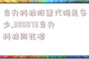 当升科技股票代码是多少,300073当升科技同花顺