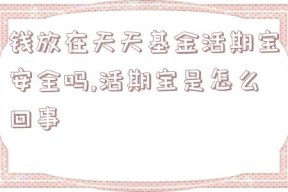 钱放在天天基金活期宝安全吗,活期宝是怎么回事