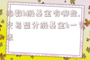 指数b级基金有哪些,交易型分级基金b一览表