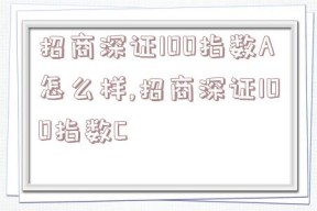 招商深证100指数A怎么样,招商深证100指数C