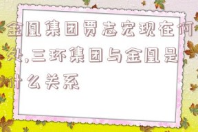 金凰集团贾志宏现在何处,三环集团与金凰是什么关系