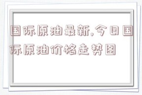 国际原油最新,今日国际原油价格走势图