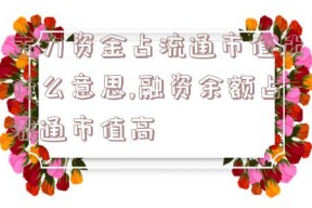 主力资金占流通市值比什么意思,融资余额占流通市值高