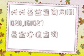 天天基金查询网161028,161027基金净值查询