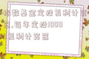 指数基金定投复利计算器,每年定投10000复利计算器