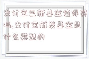 支付宝里新基金值得买吗,支付宝新发基金是什么类型的