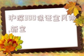 沪深300保证金风险,新宝