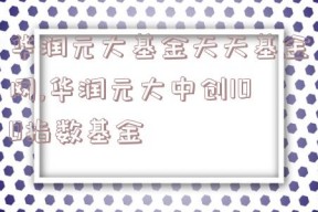 华润元大基金天天基金网,华润元大中创100指数基金