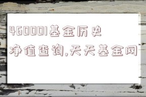 460001基金历史净值查询,天天基金网