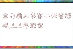 主力流入多第二天会涨吗,2021年股灾