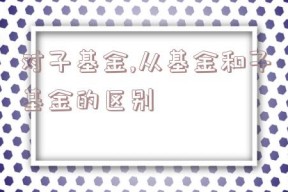 对子基金,从基金和子基金的区别