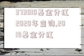 373010基金分红2020年查询,2019基金分红