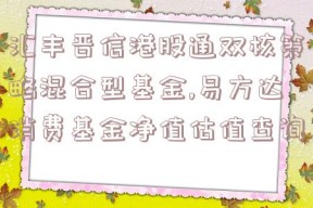 汇丰晋信港股通双核策略混合型基金,易方达消费基金净值估值查询