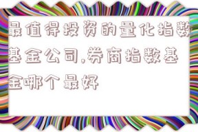 最值得投资的量化指数基金公司,券商指数基金哪个最好