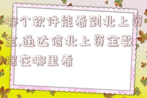 哪个软件能看到北上资金,通达信北上资金数据在哪里看