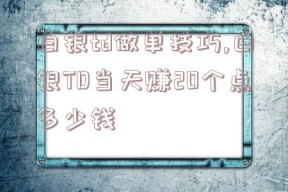 白银td做单技巧,白银TD当天赚20个点多少钱