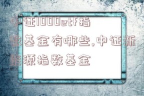 中证1000etf指数基金有哪些,中证新能源指数基金