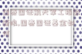 国泰国证航天军工指数新浪,国泰国证基金如何