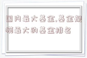 国内最大基金,基金规模最大的基金排名