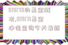 519170的基金概况,519171基金净值查询今天最新