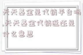 天天基金是代销平台吗,天天基金代销返还是什么意思