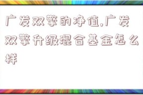 广发双擎的净值,广发双擎升级混合基金怎么样