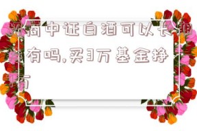 招商中证白酒可以长期持有吗,买3万基金挣7万