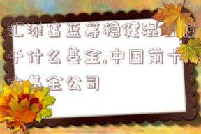 汇添富蓝筹稳健混合属于什么基金,中国前十大基金公司