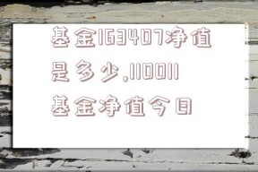 基金163407净值是多少,110011基金净值今日