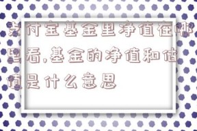 支付宝基金里净值在哪里看,基金的净值和估值是什么意思