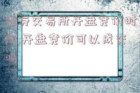 证券交易所开盘竞价时间,开盘竞价可以成交吗