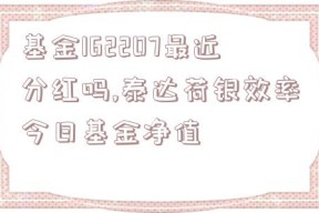 基金162207最近分红吗,泰达荷银效率今日基金净值