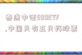 泰康中证500ETF,中国只有五只好股票