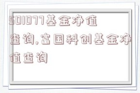 501077基金净值查询,富国科创基金净值查询