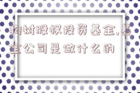 构树股权投资基金,基金公司是做什么的