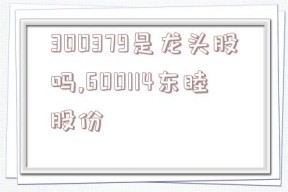 300379是龙头股吗,600114东睦股份