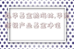 泓华基金赖海林,华商新锐产业基金净值