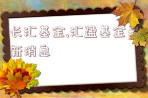 长汇基金,汇盈基金最新消息