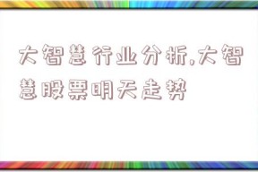 大智慧行业分析,大智慧股票明天走势