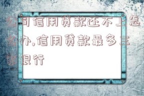 公司信用贷款还不上怎么办,信用贷款最多三家银行