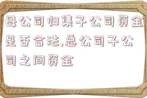 母公司归集子公司资金是否合法,总公司子公司之间资金