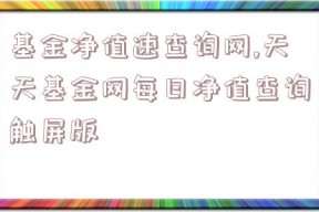 基金净值速查询网,天天基金网每日净值查询触屏版