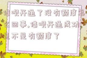 借呗开通了没有额度怎么回事,借呗开通成功是不是有额度了