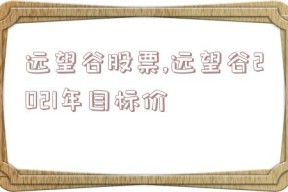 远望谷股票,远望谷2021年目标价