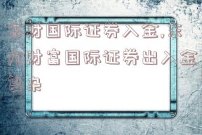 东财国际证券入金,东方财富国际证券出入金复杂