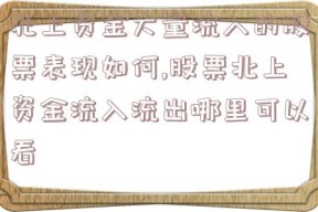 北上资金大量流入的股票表现如何,股票北上资金流入流出哪里可以看